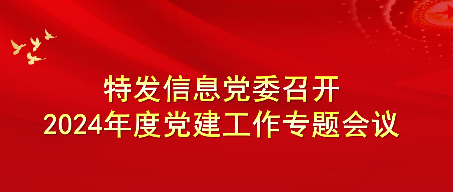 BC贷·(中国区)官方网站信息党委召开2024年度党建工作专题会议